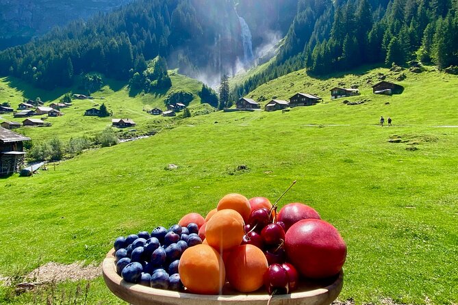 Flavours of Switzerland Luxury Private Tour from Zurich & Lucerne - What the guides add to the day