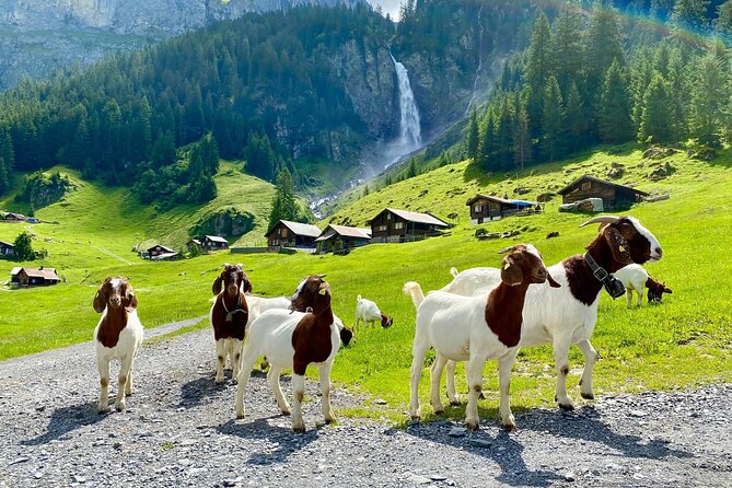 From Zurich: The most beautiful insider spots in Switzerland (private 1-day tour) - Why this private Zurich day trip feels different