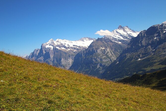 From Zurich to Top of Europe Jungfraujoch private tour - A private vehicle changes the day