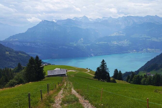 Full-Day Hiking Swiss Alps and Lake swim with Pick-up - The minivan ride from Lucerne