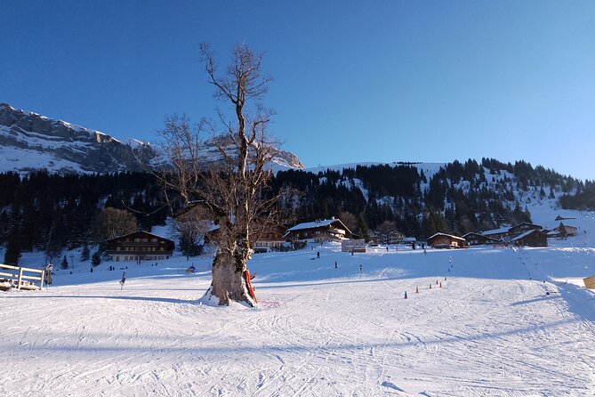 Fully organized Ski Experience for Private Groups - The Giessbach and Iseltwald Option