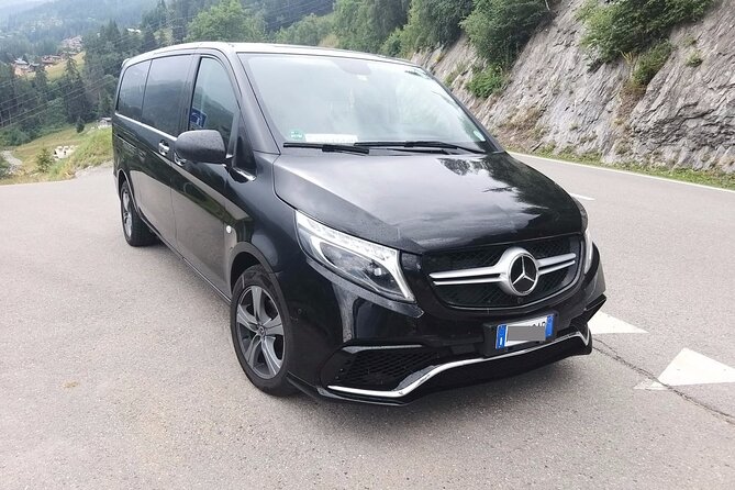 Geneva Airport (GVA) to Geneva - Arrival Private Transfer - Luggage, sports equipment, and vehicle fit