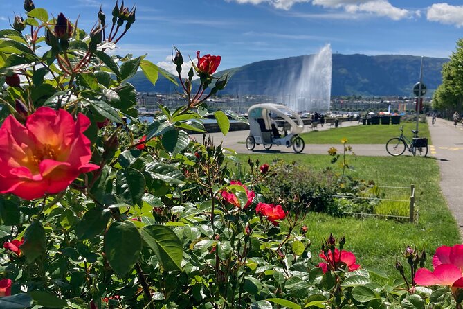 Geneva Highlights Tour by TaxiBike - Five minutes at Reformation Wall