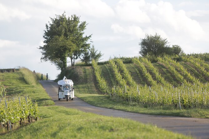 Geneva Panoramic & Tasting Vineyards Tour in an Tuk Tuk - Peissy, where vineyards take over the view