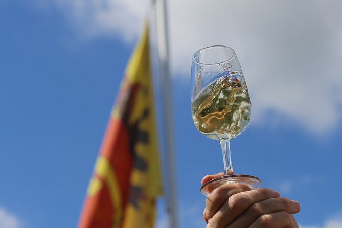 Geneva Panoramic & Tasting Vineyards Tour in an Tuk Tuk - Price, group size, and what you receive