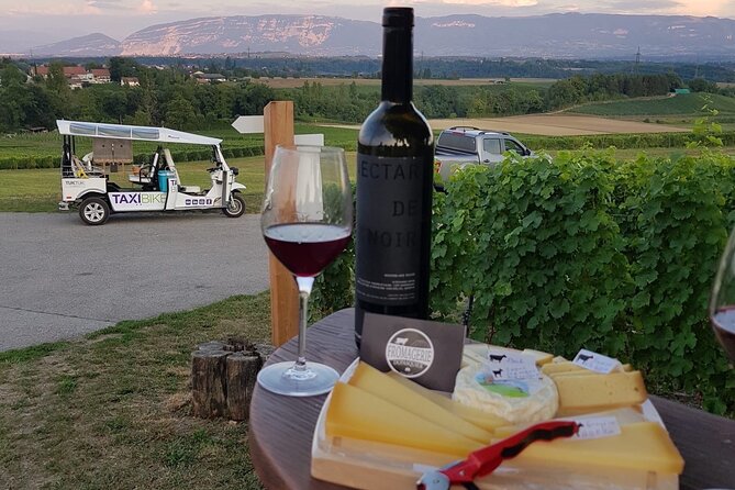 Geneva Panoramic & Tasting Vineyards Tour in an Tuk Tuk - Guides can shape the whole experience