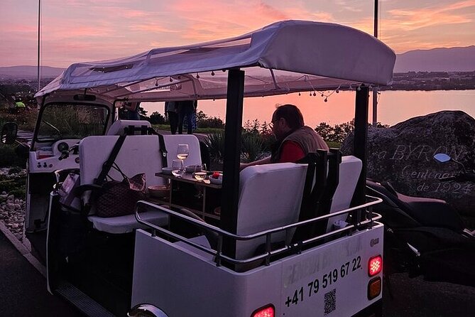 Geneva: Sightseeing of top Places Tour Electric TukTuk 1H15 tour - Why an Electric Tuk-Tuk Works in Geneva