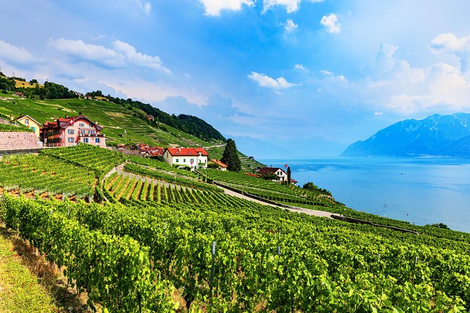 Geneva to Gruyère Private Day Trip. Cheese & Chocolate Tour - A private minibus changes the feel of the day