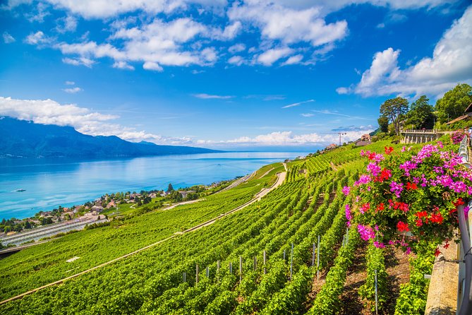 Geneva to Gruyère Private Day Trip. Cheese & Chocolate Tour - Who will get the most from this outing