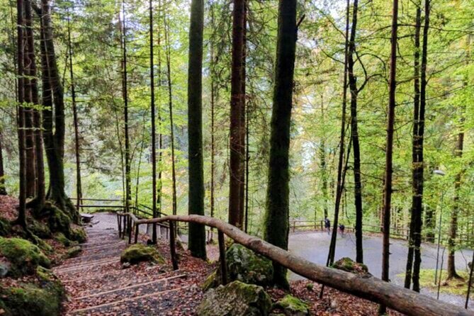 Giessbach Waterfall + CLOY Pier Iseltwald Sightseeing Tour Privat - The Grand Hotel Giessbach and its CLOY stairs