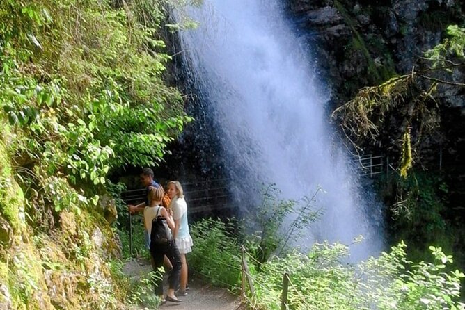 Giessbach Waterfall + CLOY Pier Iseltwald Sightseeing Tour Privat - What the guide adds to the experience