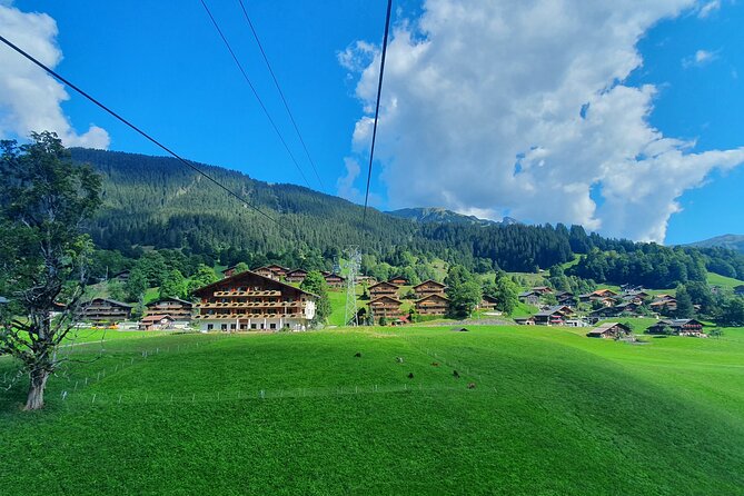 Grindelwald First (Top of Adventure) Ticket incl. Cliff Walk - What the First Cliff Walk is really like