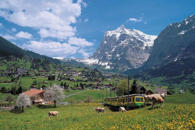 Grindelwald, Interlaken and Lauterbrunnen Day Trip from Lucerne - Interlaken: attractive, but brief