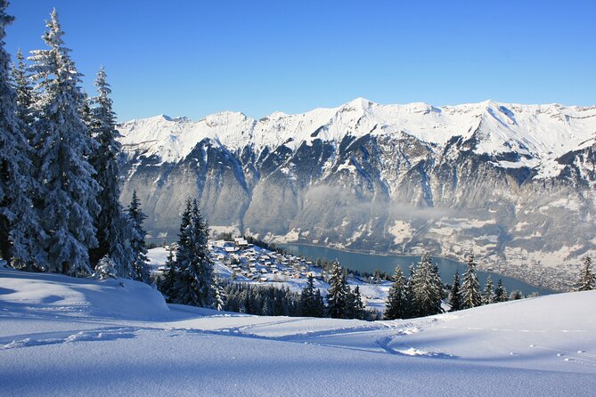 Grindelwald, Interlaken & Lauterbrunnen Day Trip from Zurich - Leaving Zurich for the Bernese Oberland