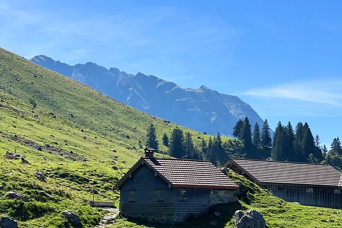 Grindelwald, Lauterbrunnen & Brienz from Zurich - Why this Zurich day trip works