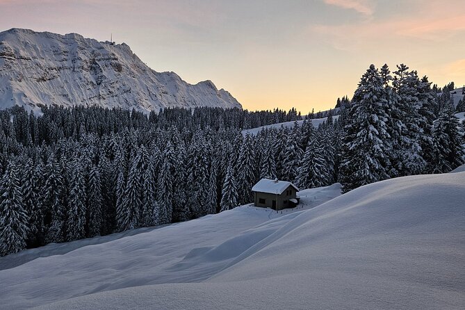 Grindelwald, Lauterbrunnen Lungern Interlaken Semi-Private - Two hours in Grindelwald