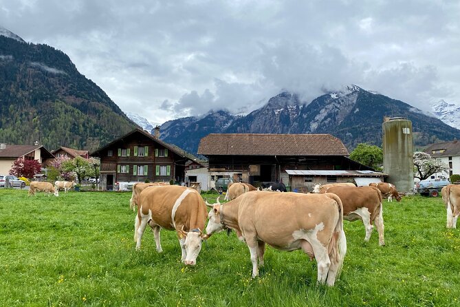 Grindelwald, Lauterbrunnen & Mürren Private Day Trip from Zurich - Grindelwald, Interlaken or Iseltwald?