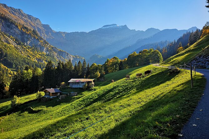 Guided Excursion to Jungfraujoch, Grindelwald and Lauterbrunnen from Lucerne - The Eiger Express and the old mountain railway