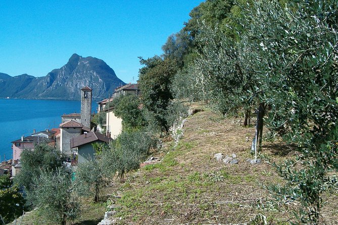 Guided Walk from Lugano to Gandria promoted by Lugano Region - return by boat - Gandria is the payoff at the end of the path