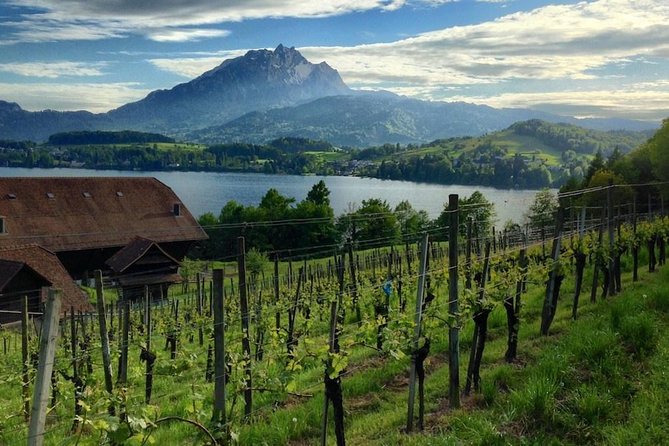 Half-Day Lake Lucerne Country Walk - What the four-hour walk feels like