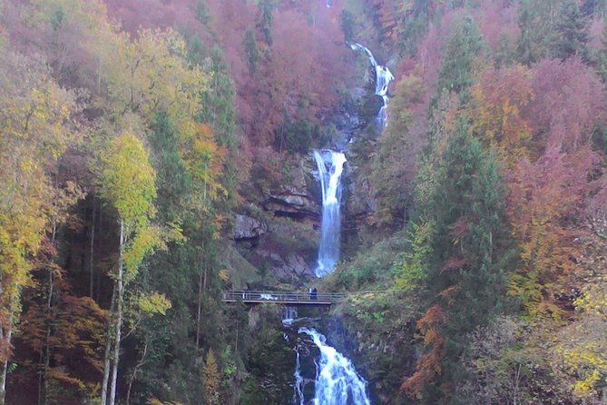 Half-Day Private Giessbach Falls and Lake Brienz from Interlaken - Brienz village and its flower-decorated chalets
