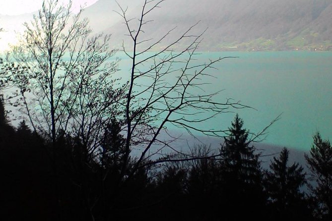 Half-Day Private Giessbach Falls and Lake Brienz from Interlaken - The first views near Interlaken