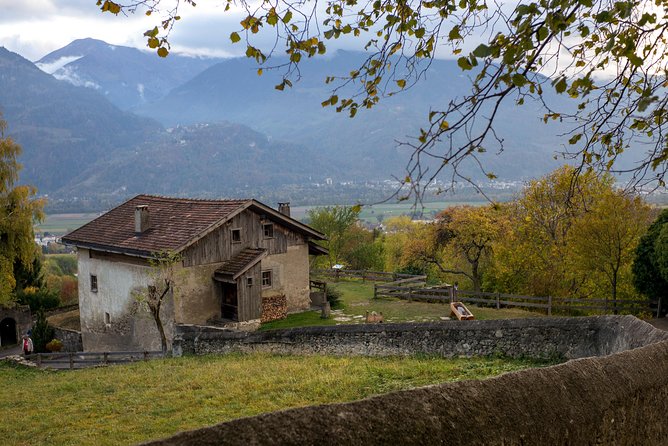 Heidiland and Liechtenstein Tour from Zurich - Guides, Coach Comfort, and Group Size