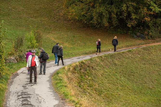 Heidiland and Liechtenstein Tour from Zurich - Who Will Get the Most From This Tour