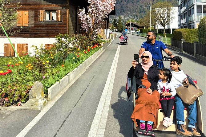 Hidden gems e-bike tour with picnic at Lake Brienz - What the guide adds to the ride