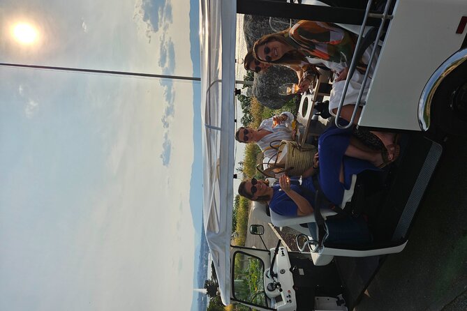 Immersion in the Geneva vineyards by tuktuk with tasting - What the wine tasting adds