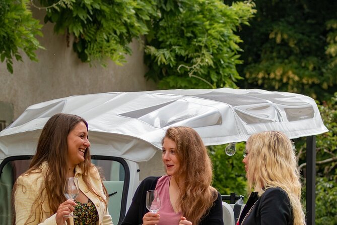 Immersion in the Geneva vineyards by tuktuk with tasting - Why guide Karim matters