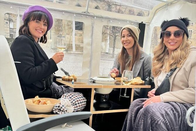 Immersion in the Geneva vineyards by tuktuk with tasting - Who will enjoy this Geneva wine outing?