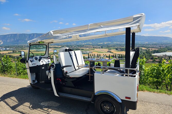 Immersion in the Geneva vineyards by tuktuk with tasting - Following Lake Geneva toward the vineyard hills