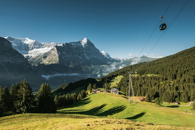 Interlaken and Grindelwald Day Trip from Lucerne - Is the Mt First cable car worth the extra money?