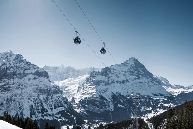Interlaken and Grindelwald Day Trip from Lucerne - Timing, comfort, and practical details
