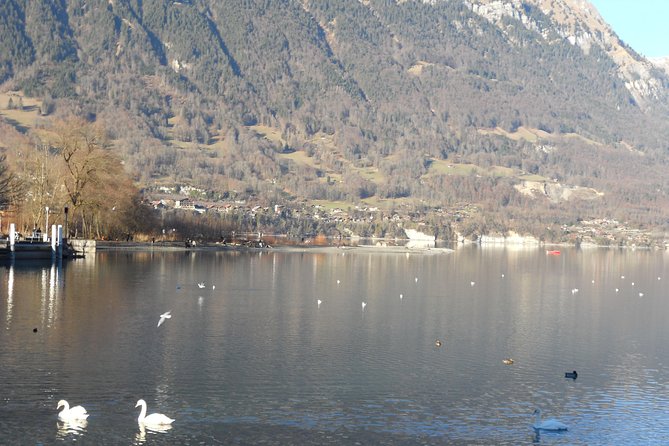 Interlaken Private Tour: Mountains Cows, Thun Lake, and Brienz Lake - Luegibrüggli and the view toward three great peaks