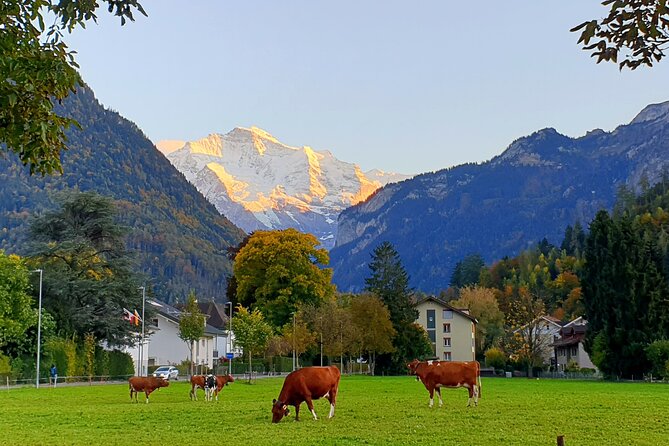 Interlaken sightseeing: Lauterbrunnen, Brienz, Interlaken - A private route through Interlaken’s best scenery