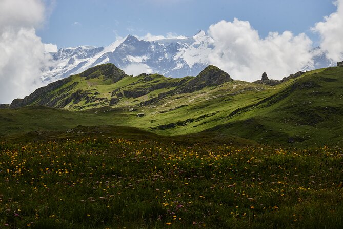 Jungfraujoch Day Visit from Grindelwald - Exploring the Top of Europe