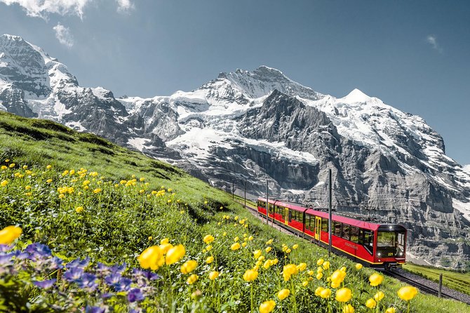 Jungfraujoch: Top of Europe Day Trip from Zurich - Leaving Zurich for the Bernese Oberland