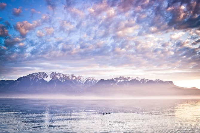 (KTG302) - Day Trip to Montreux & Château de Chillon from Geneva - Vevey, the market square, and the lake road