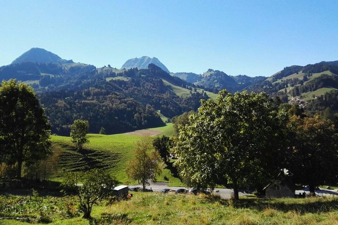 (KTL352) - Gruyeres Day Trip with Chocolate Factory from Lausanne - What the $179.42 price gets you
