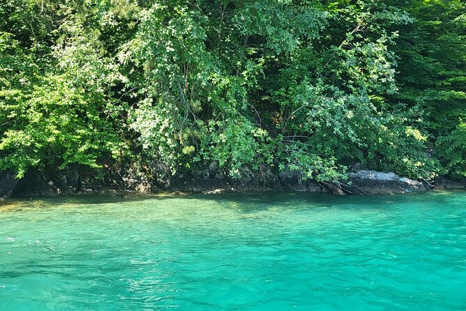 Lake Lucerne boat tour for a full day! - What the $1,742.23 group price really buys