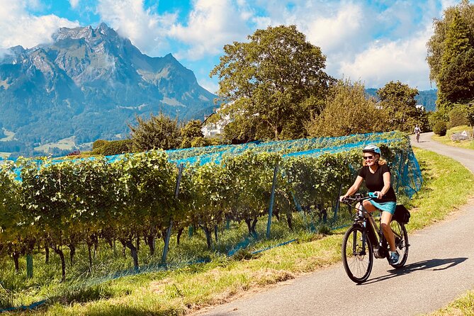 Lake Lucerne Peninsula e-Bike Tour - From Lucerne streets to quieter lake country