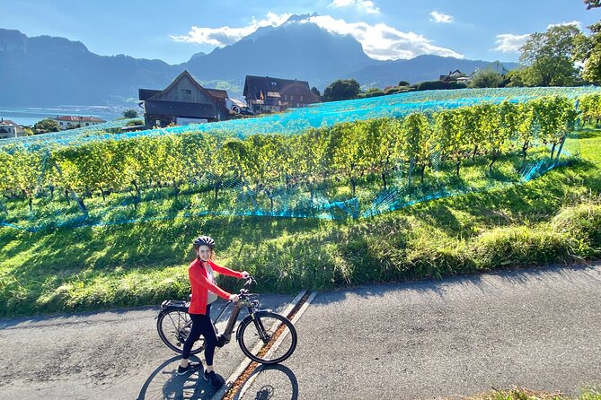Lake Lucerne Peninsula e-Bike Tour - The guide can make or break this experience