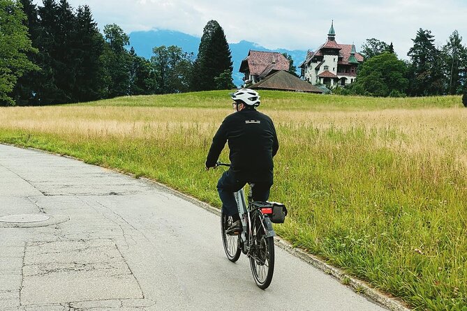 Lake Lucerne Peninsula e-Bike Tour - Views, farms, beaches, and local details