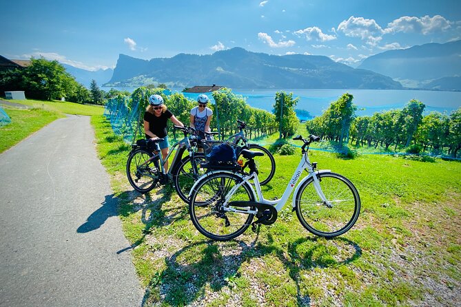 Lake Lucerne Peninsula e-Bike Tour - Who should book this ride?