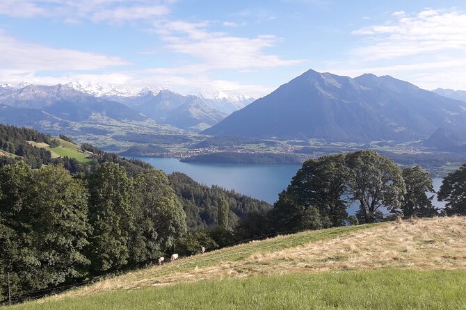 Lake View CLOY Hangbridge Sigriswil City Thun Castle Spiez Privat - Beatenberg’s two short viewpoints