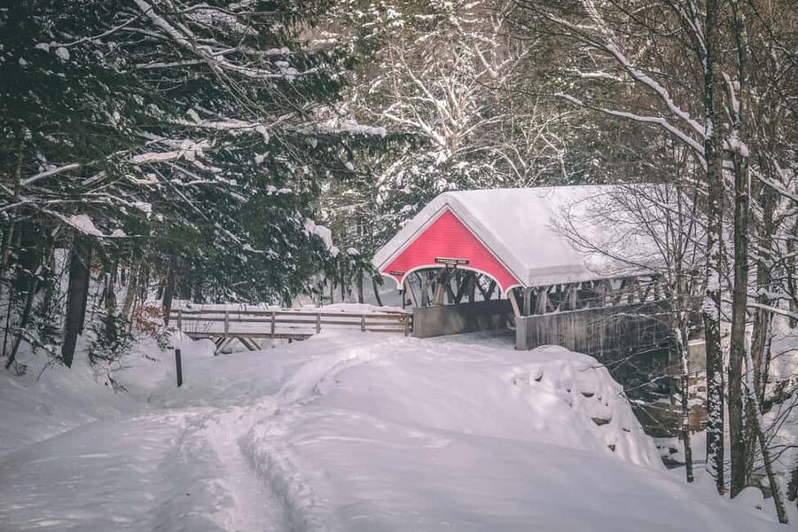 Lucerne: Snowshoe Hiking Adventure to Glaubenberg Langis - Key points to know before you book