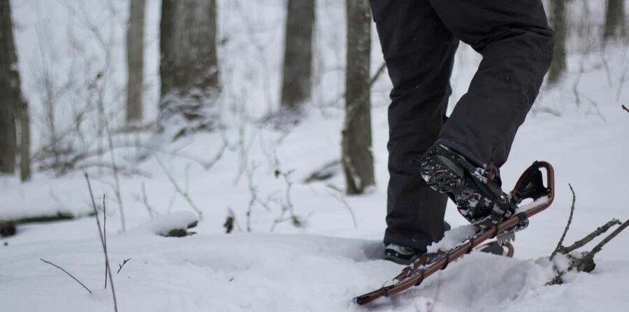 Lucerne: Snowshoe Hiking Adventure to Glaubenberg Langis - The longer two-hour route to a quieter corner