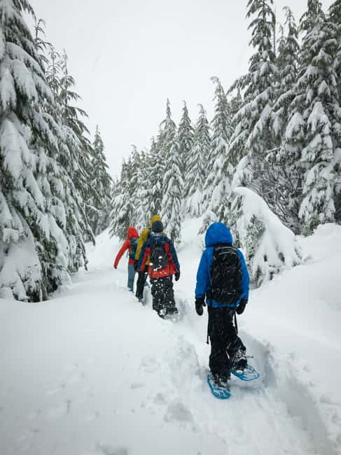 Lucerne: Snowshoe Hiking Adventure to Glaubenberg Langis - Leaving Lucerne by van